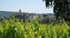 Wine stay in the Rhone valley - Rhone Valley - 7