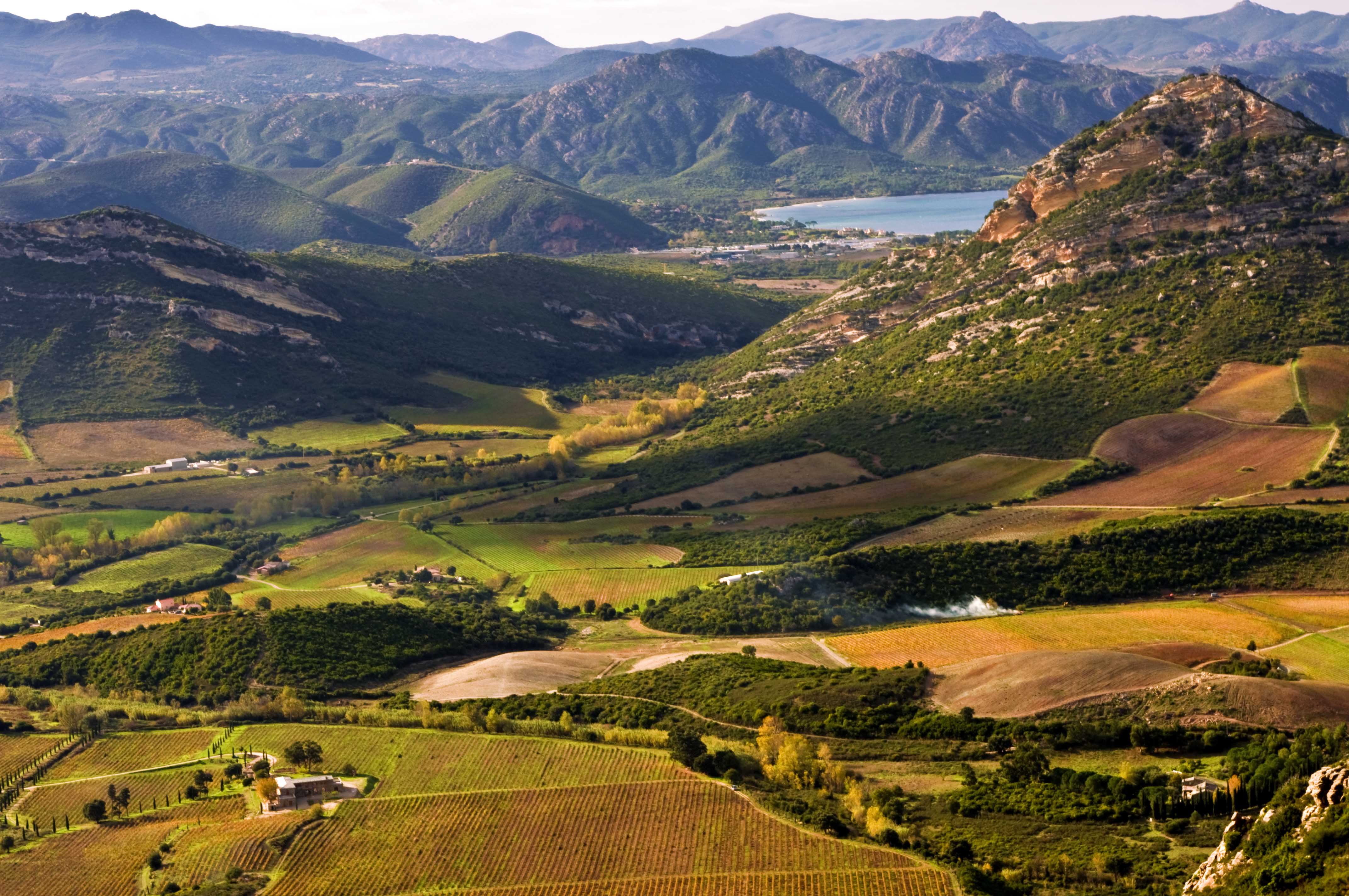 Wine stay in Corsica - Corsica - Wine region - 2