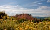 SÉJOUR OENOLOGIQUE DANS LE ROUSSILLON - Roussilon - 1