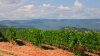 Wine Stay in Roussillon - Roussilon - 4