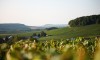 France - Routes du vin - 1