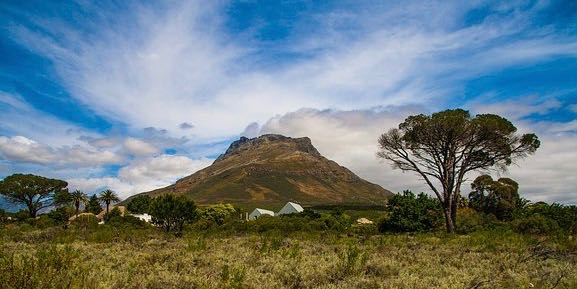 rencontre avec un oenologue