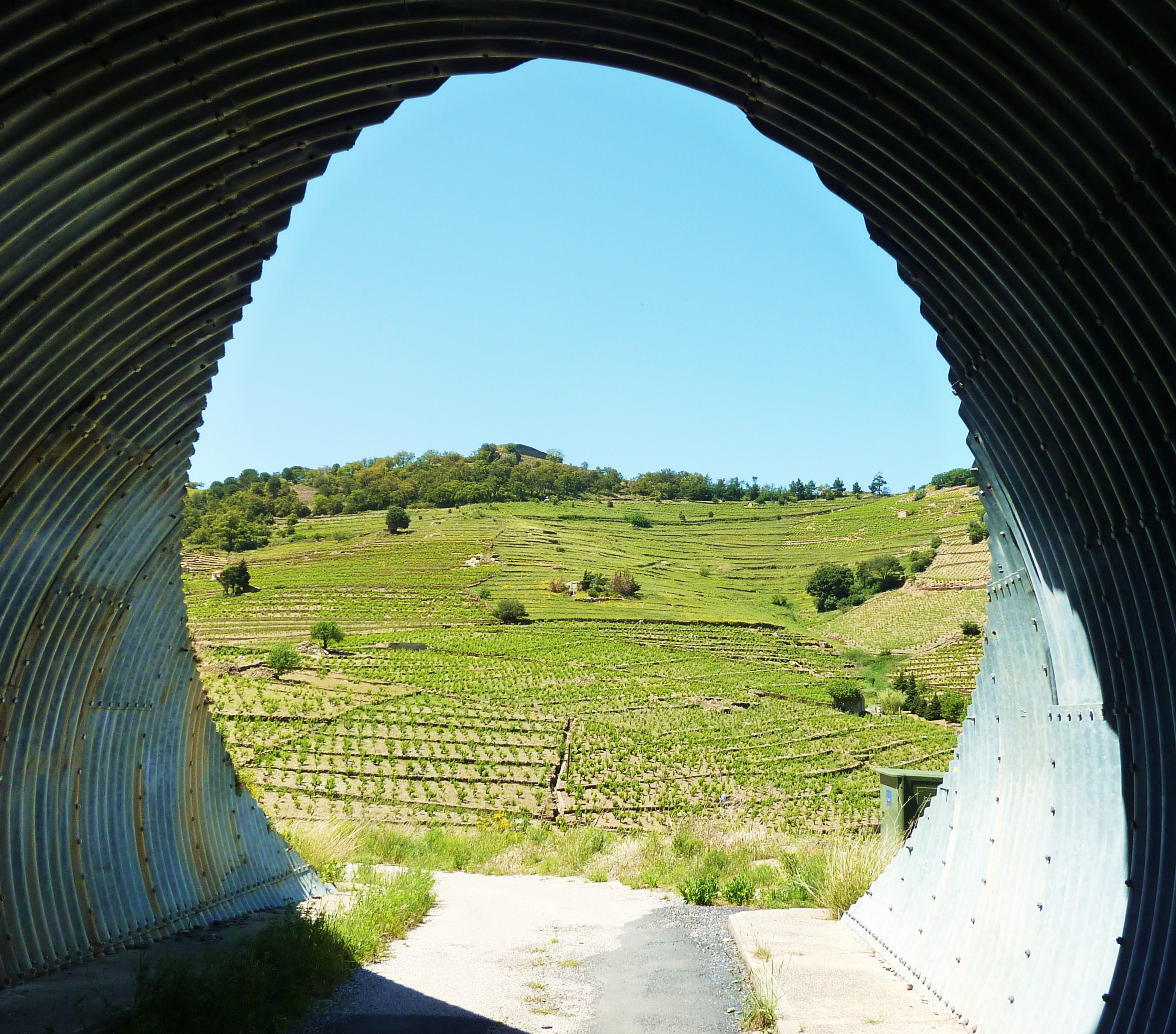 Wine Stay in Roussillon - Roussilon - Wine Region - 2