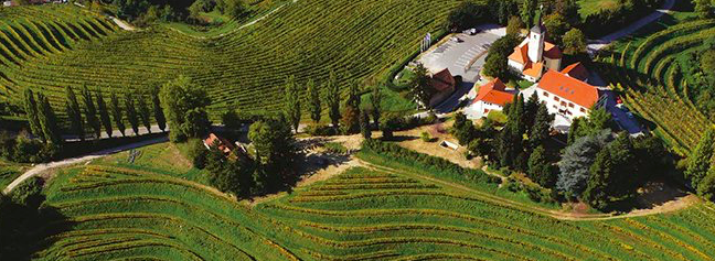 Wine stay in Slovenia - Slovénia - Slovenia - 3