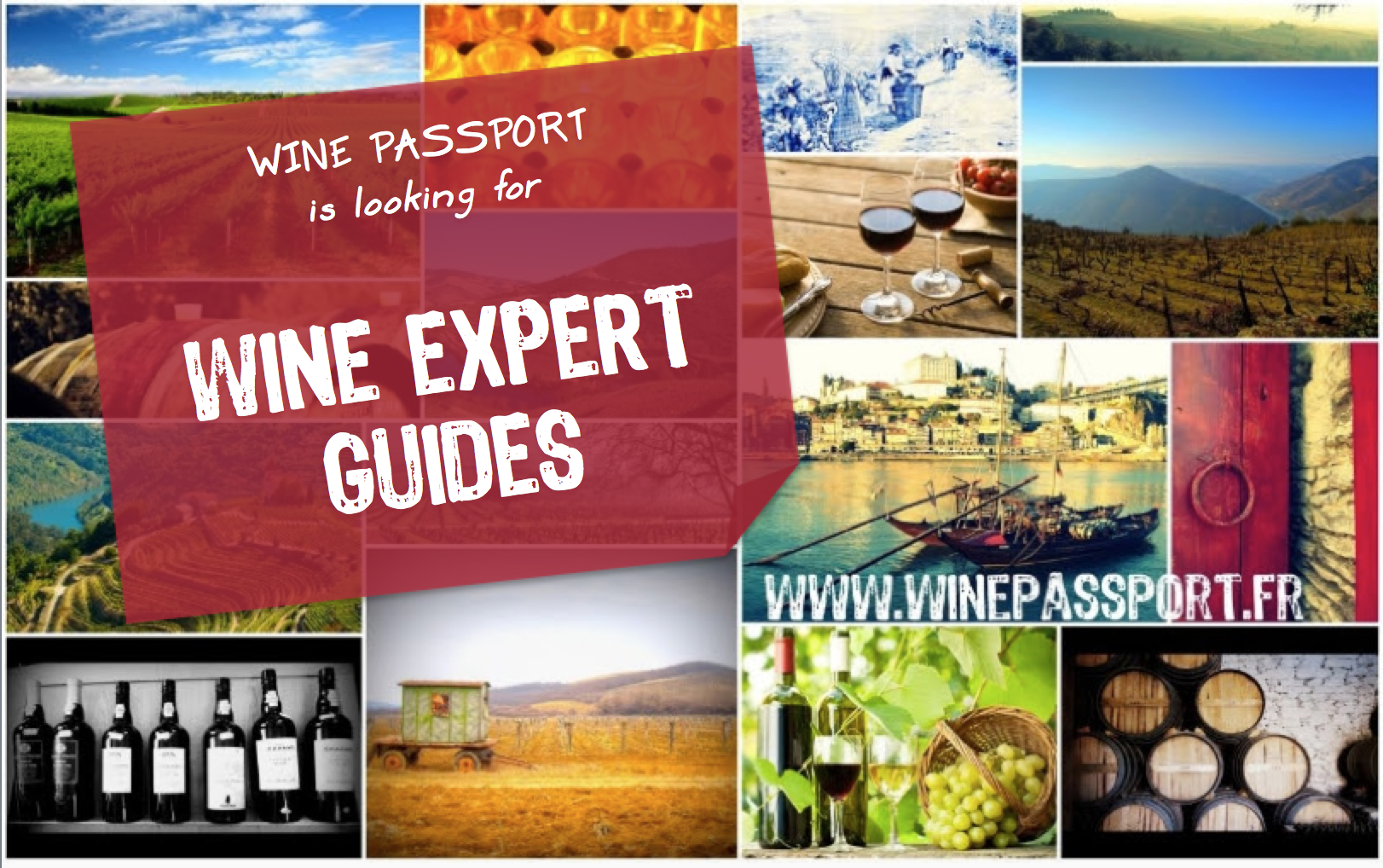 Wine Passport is looking for WINE EXPERT GUIDES !